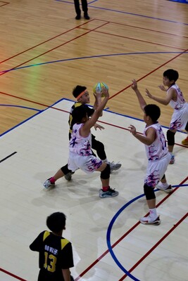 LINE_ALBUM_20250322 全國小學籃球錦標賽_250324_75圖片