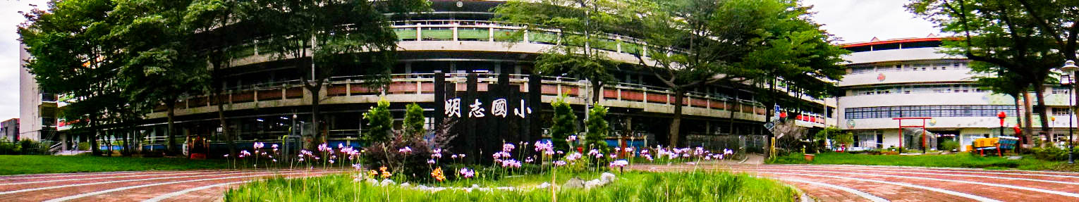 中庭花園